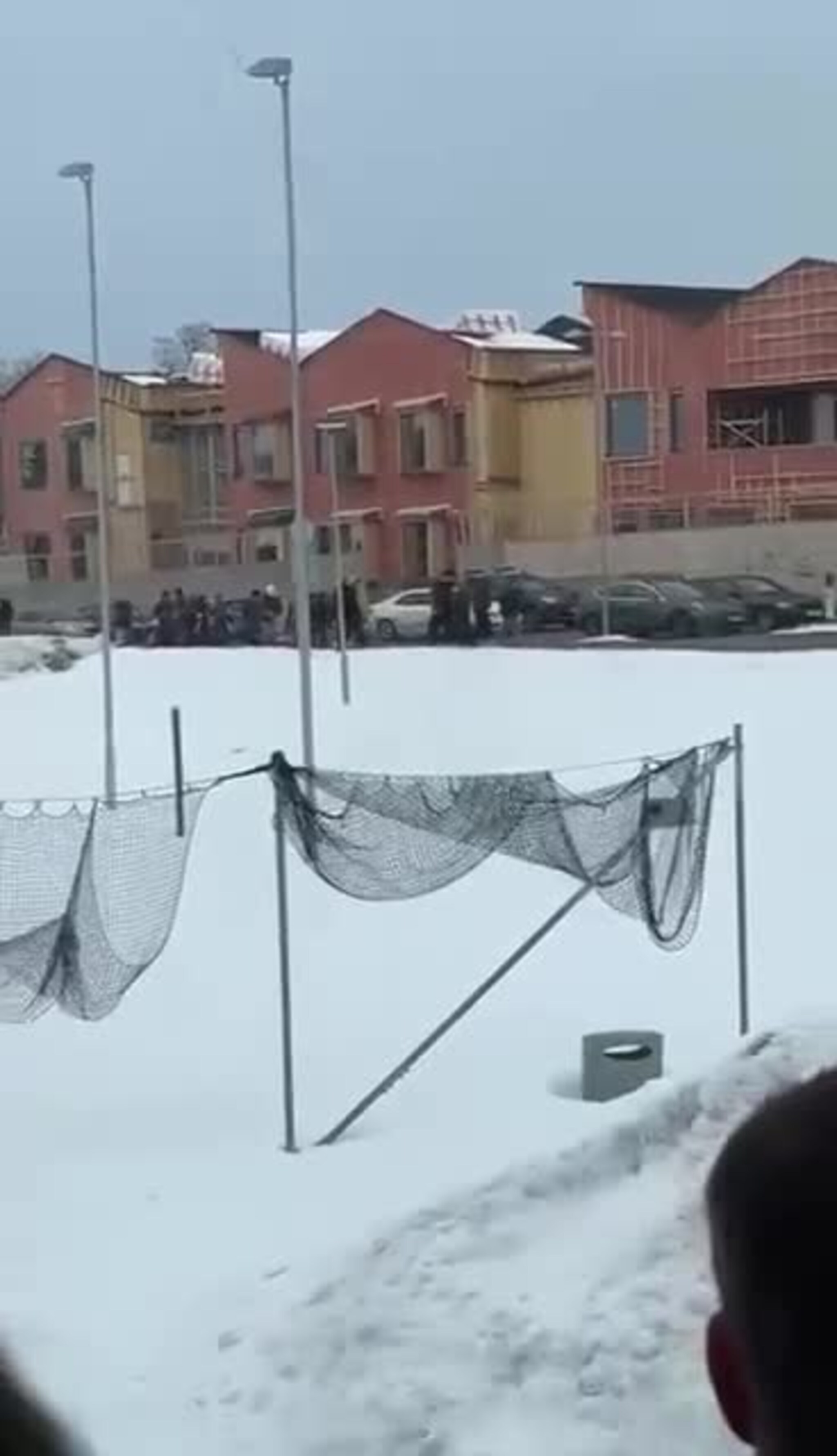 Ungdommer egger Polarshow