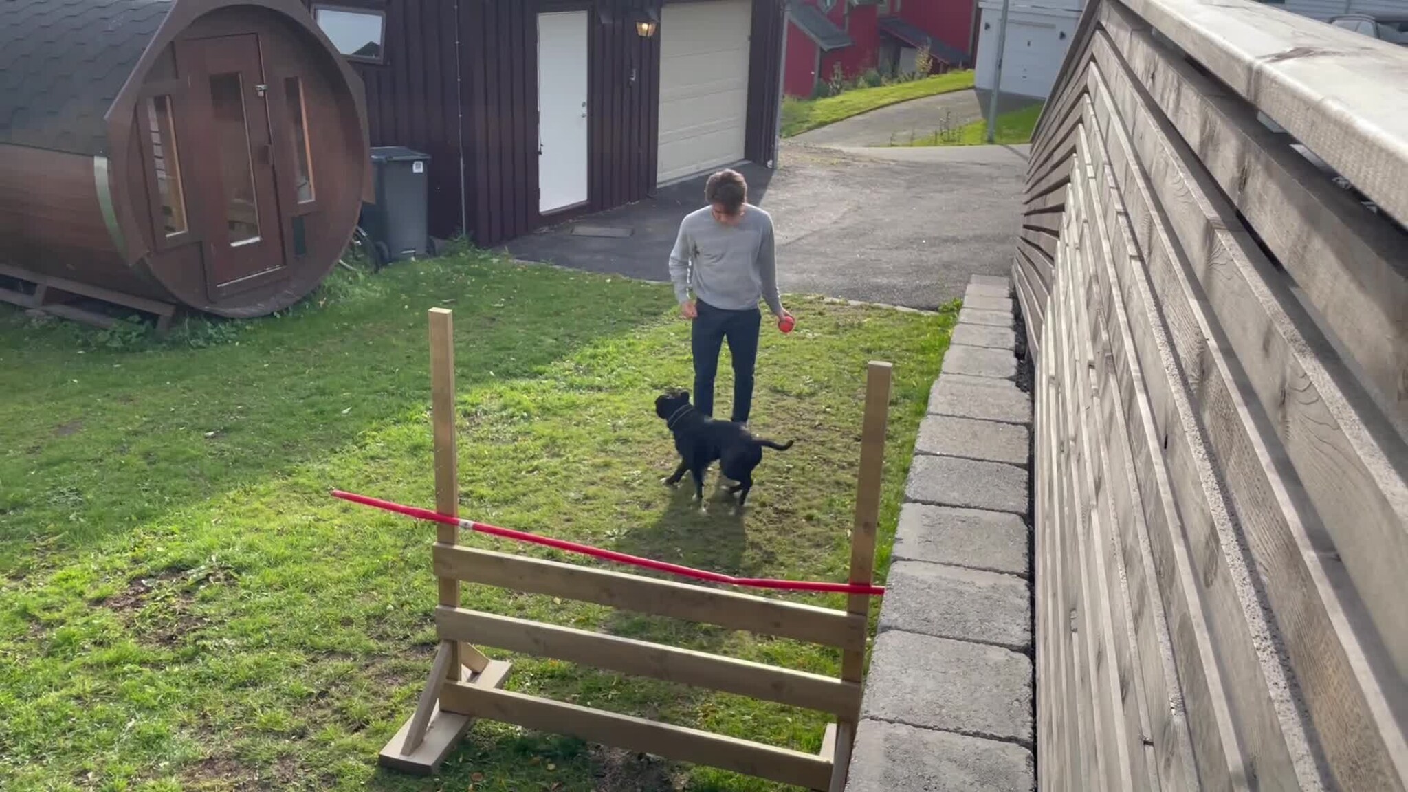 Spretten "Tyson" hopper over hekken