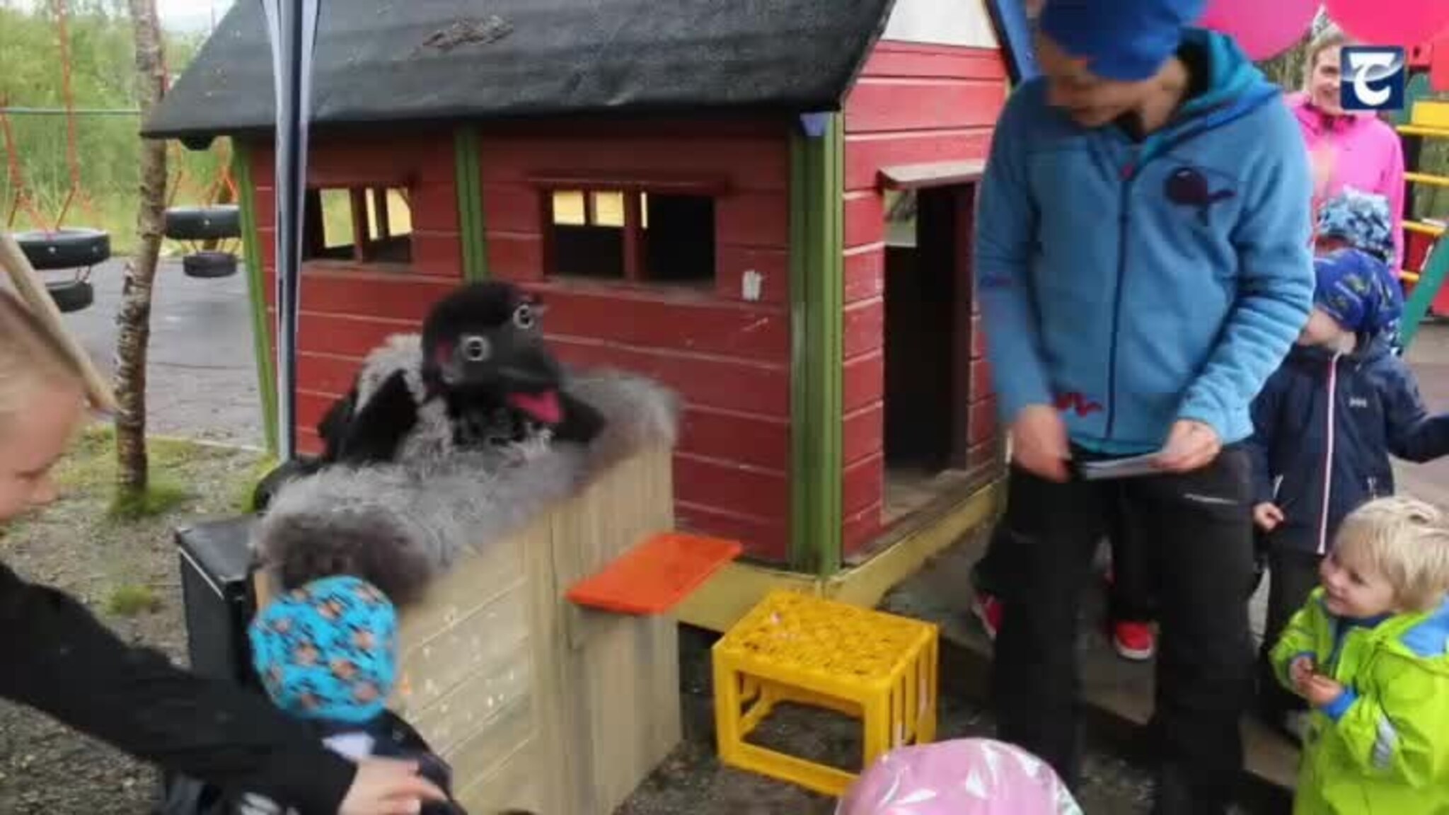 Steinberget barnehage feirer 20-årsdag