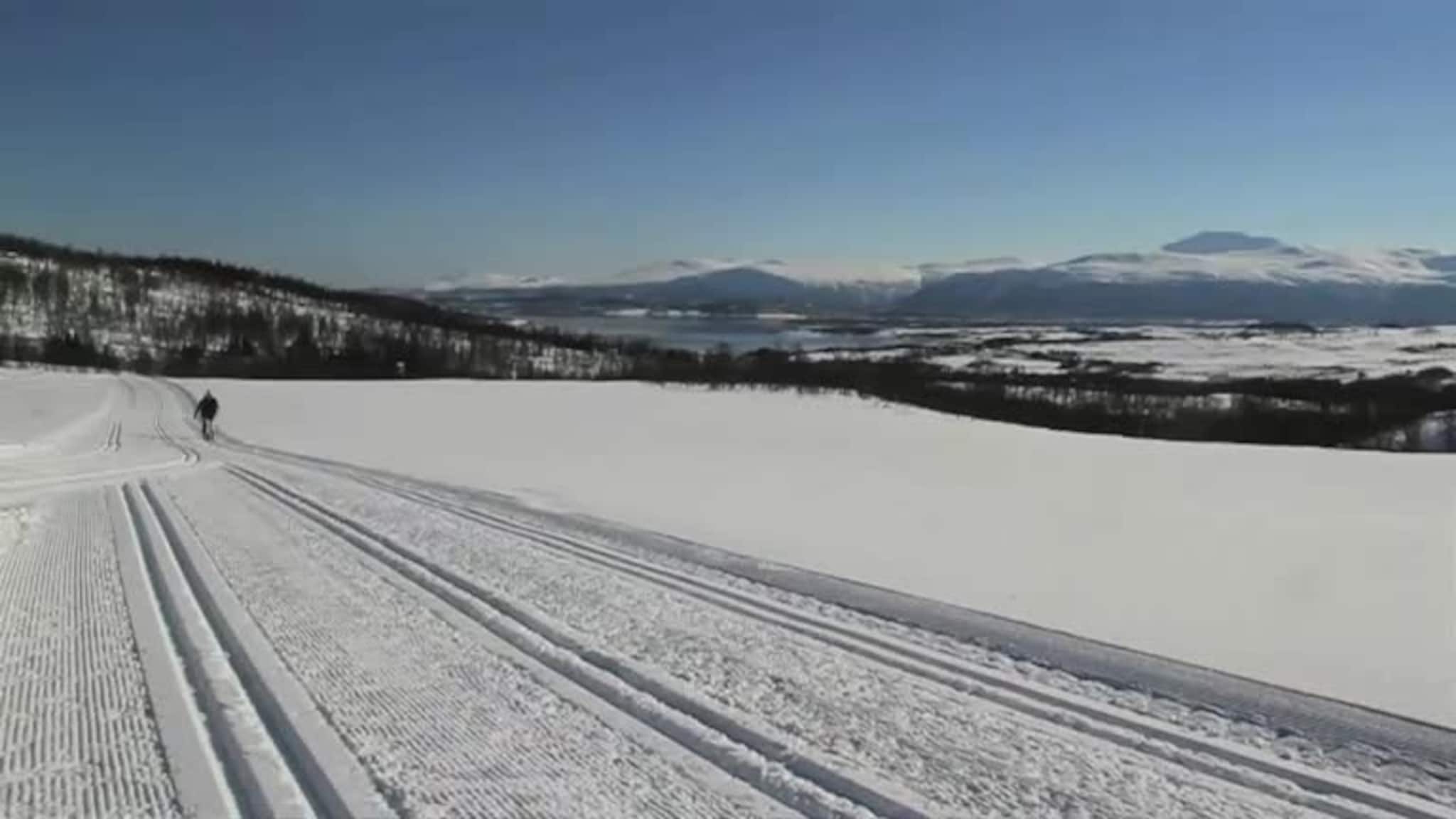Dette er Nord-Norges beste skitrasé