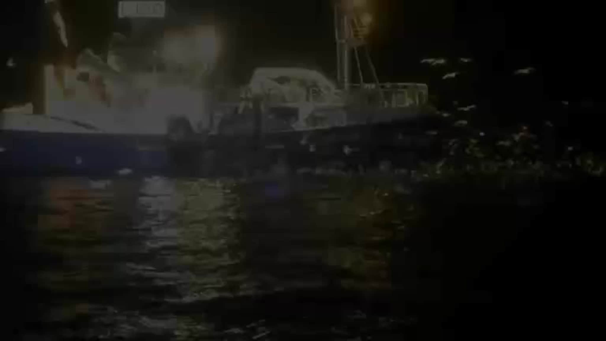 må dykke med spekkhoggerne
