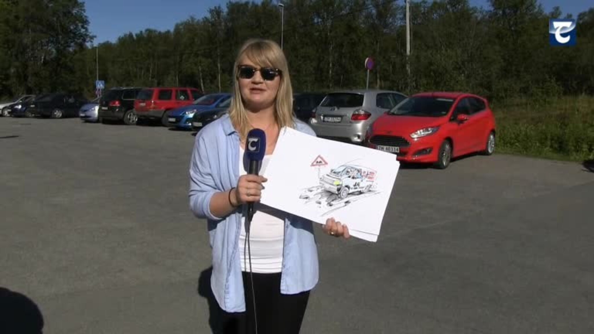 Hvilket politisk parti representerer disse karikaturene?