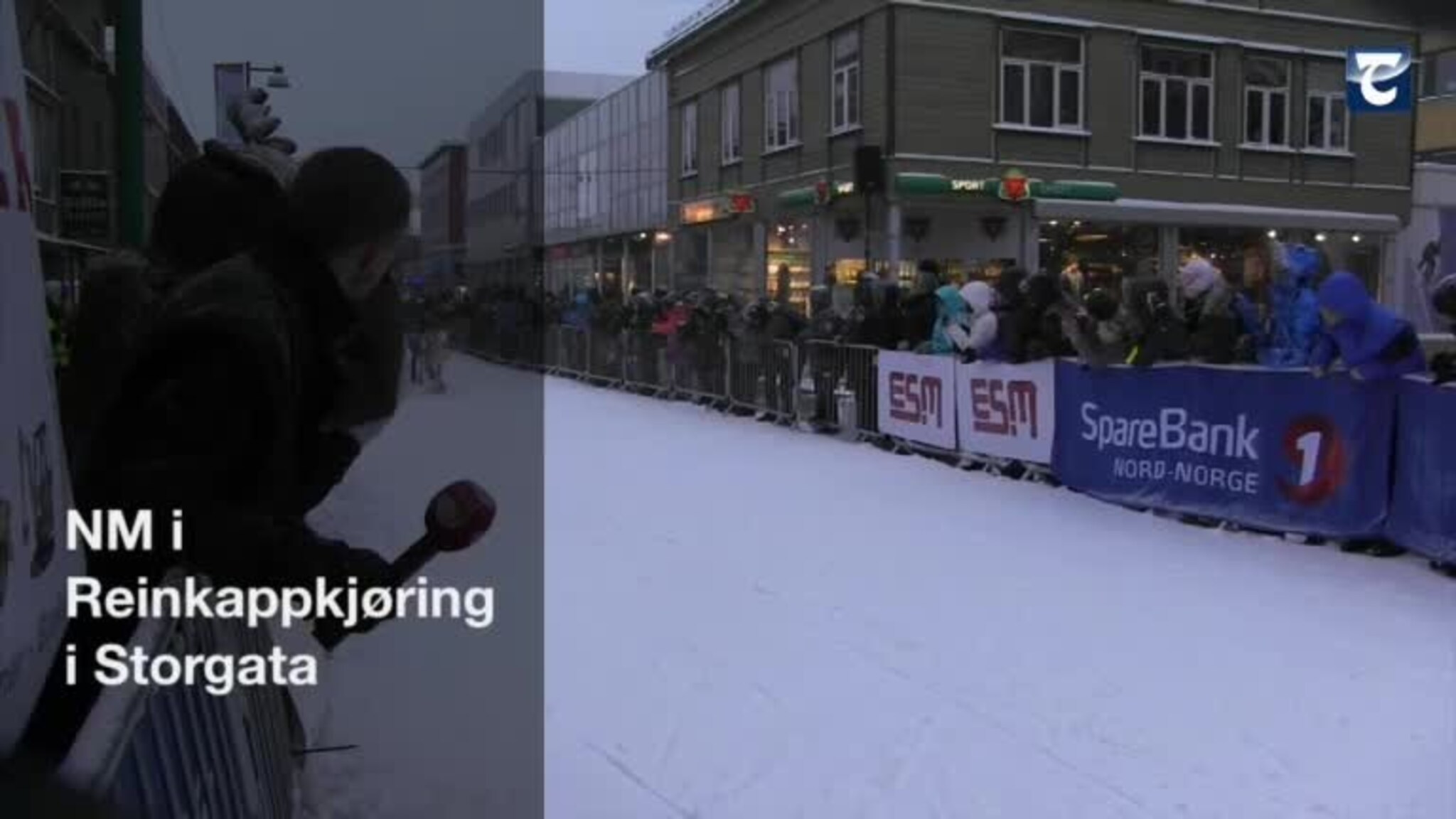 NM i reinkappkjøring