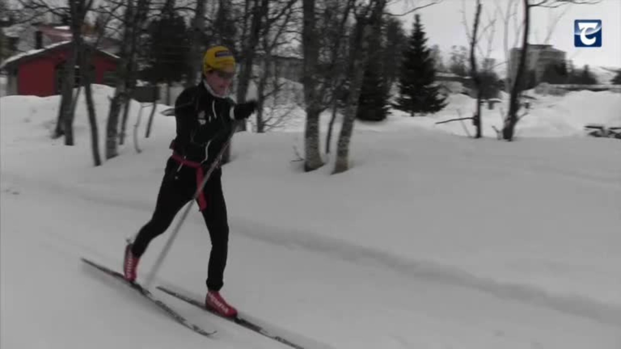 -Nesten alle driver med idrett.