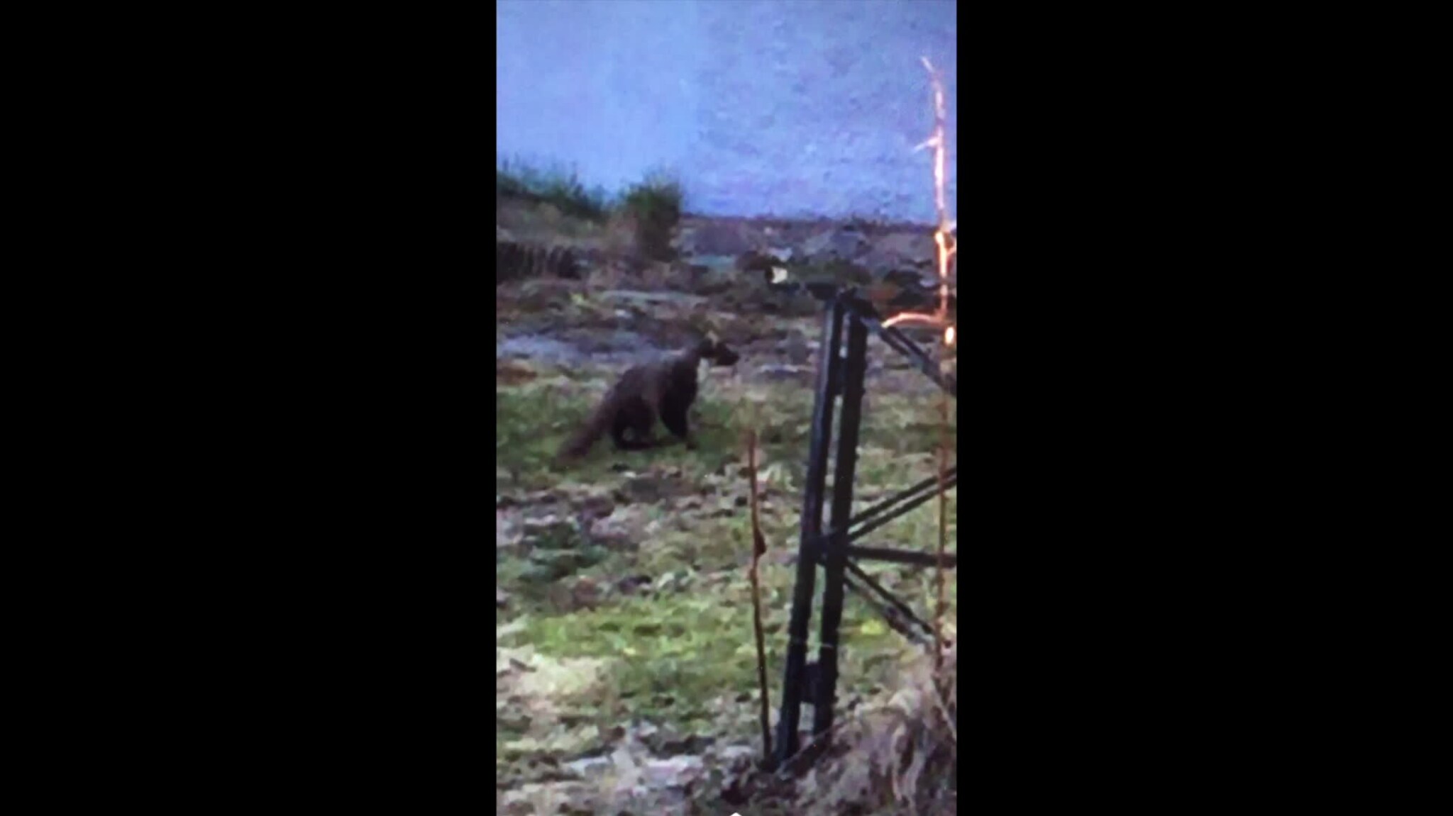 Sjekk hva som dukket opp på Sør-Tromsøya
