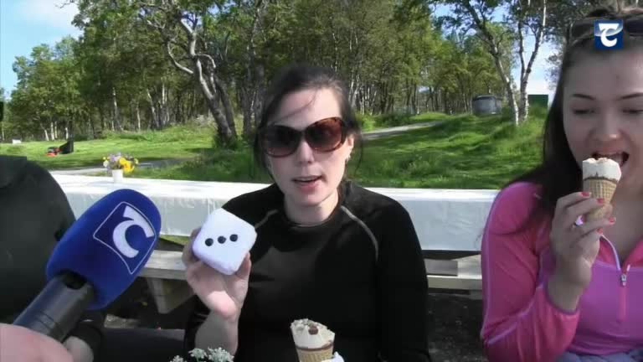 Dette er den ultimate sommerisen!