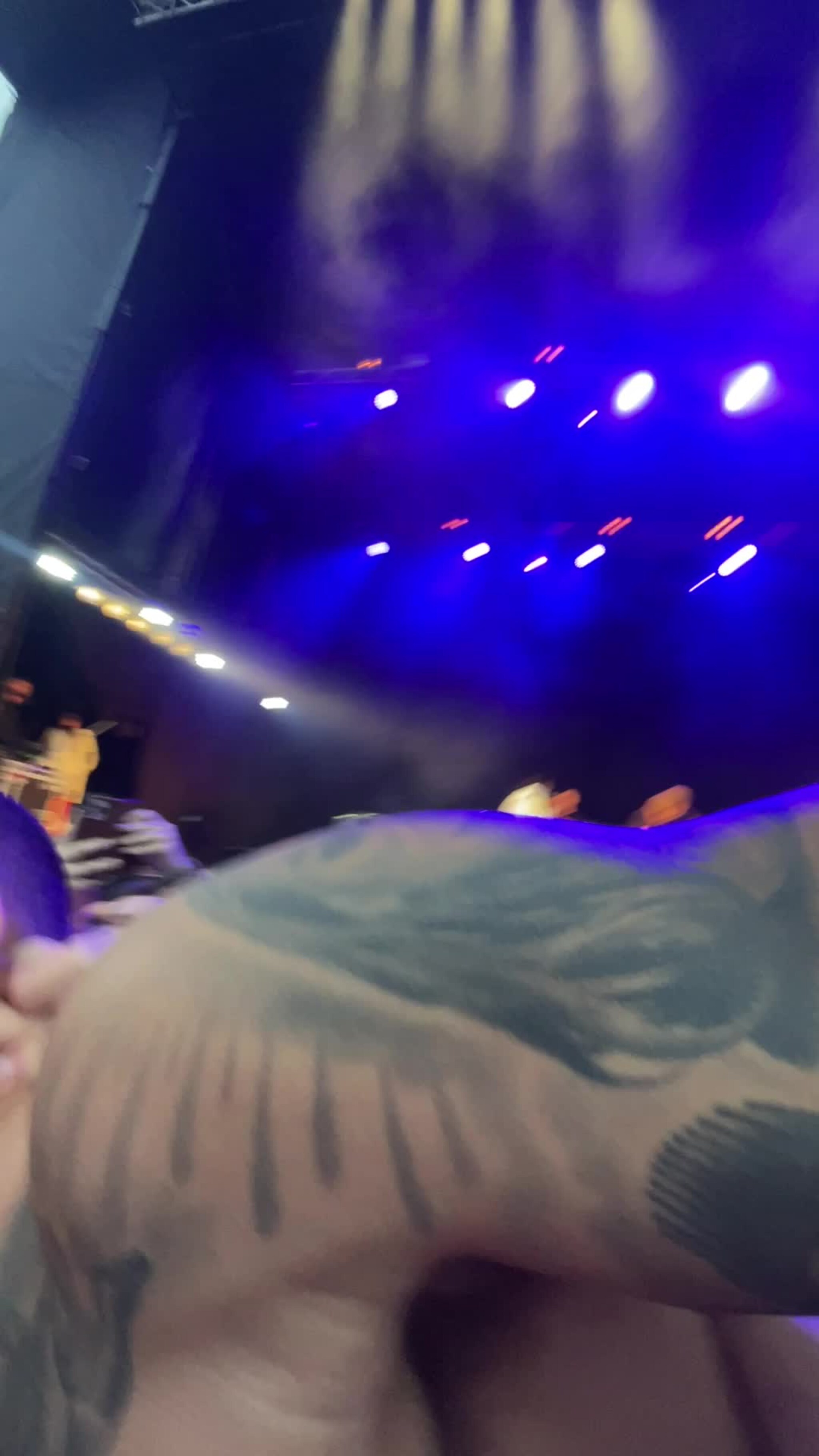 Kamelen stagedivet på folk