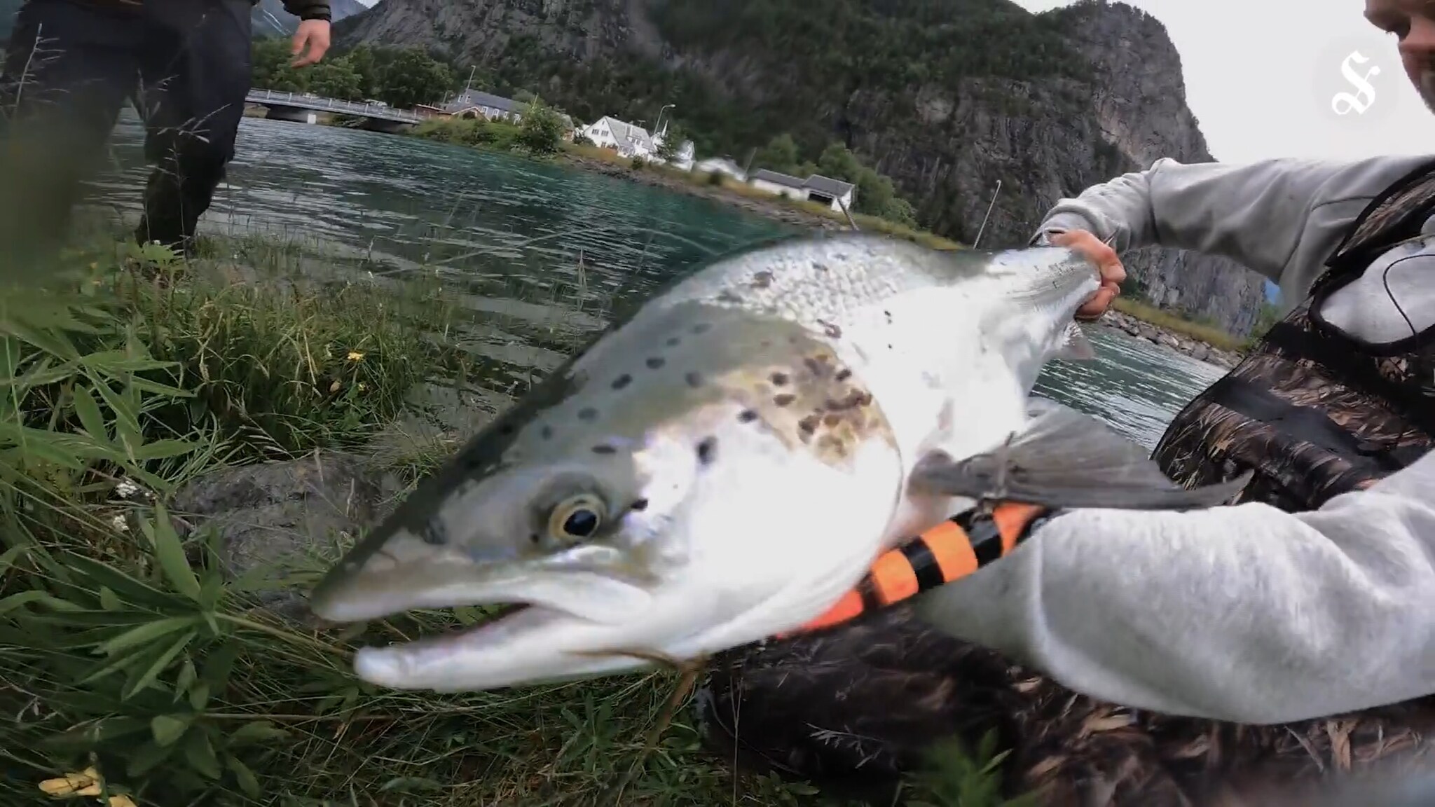 Geirangerwobbleren