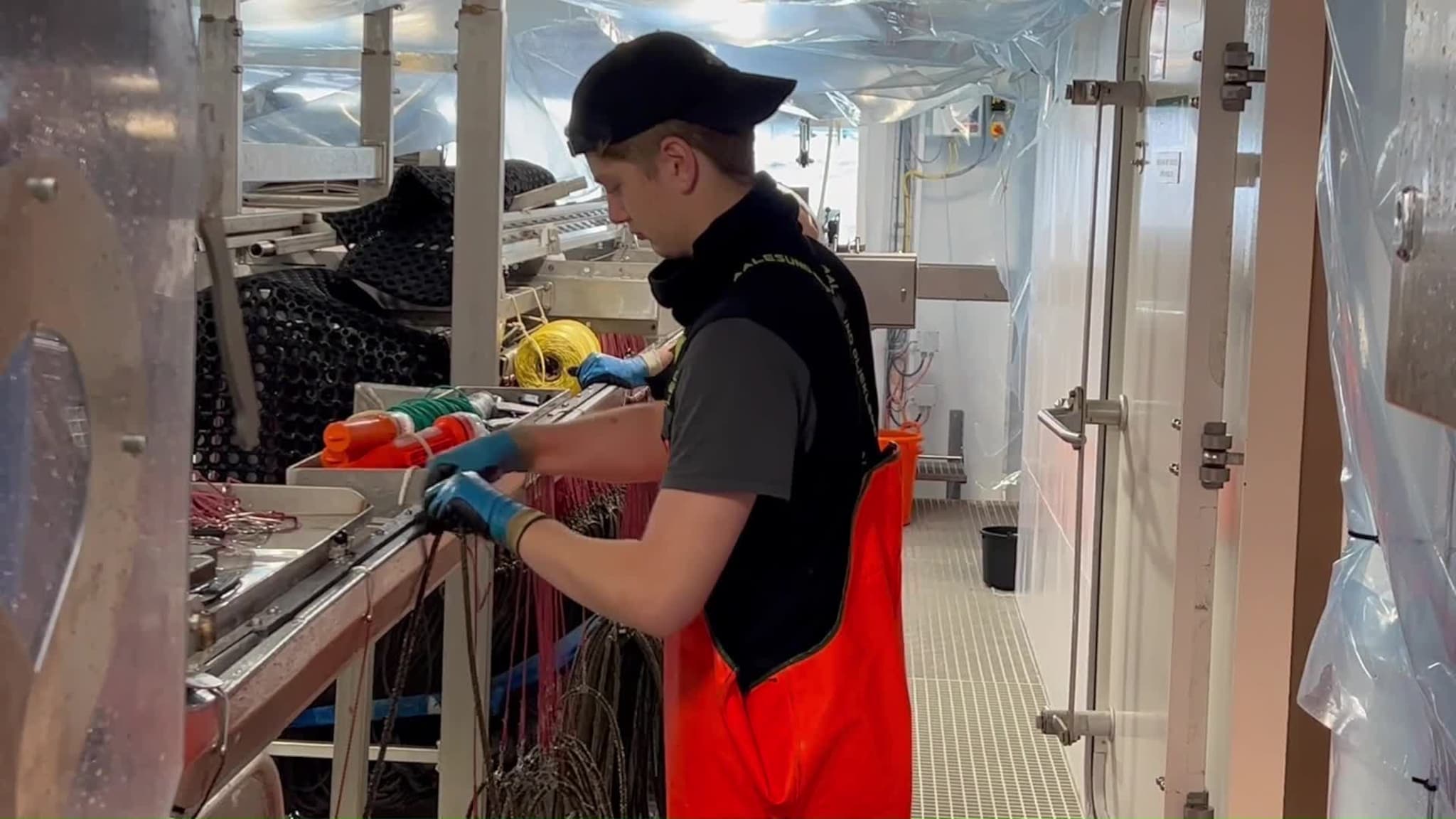 Elevar frå MVS på forskingsfiske etter pigghå