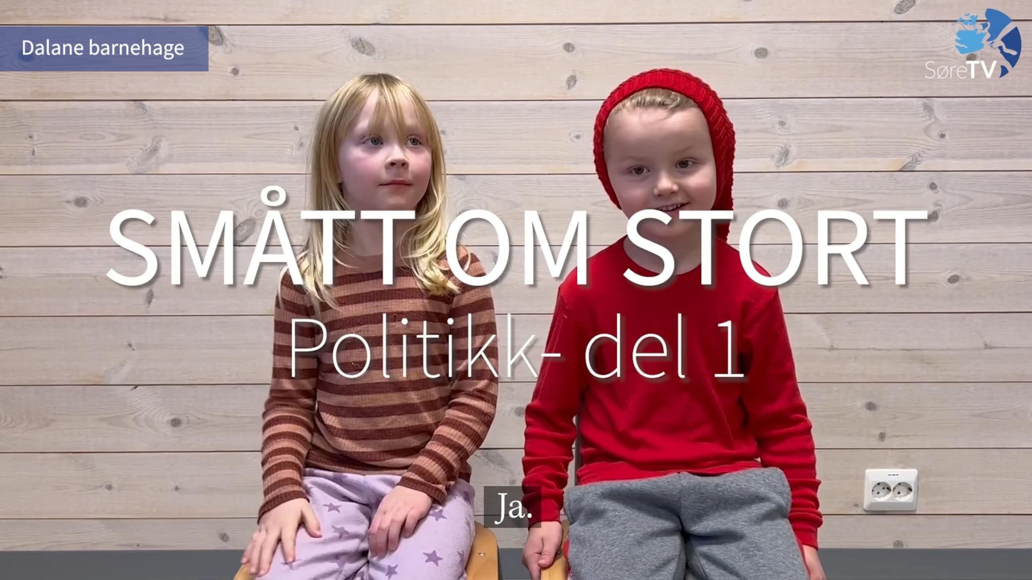 Smått om stort - Politikk del 1