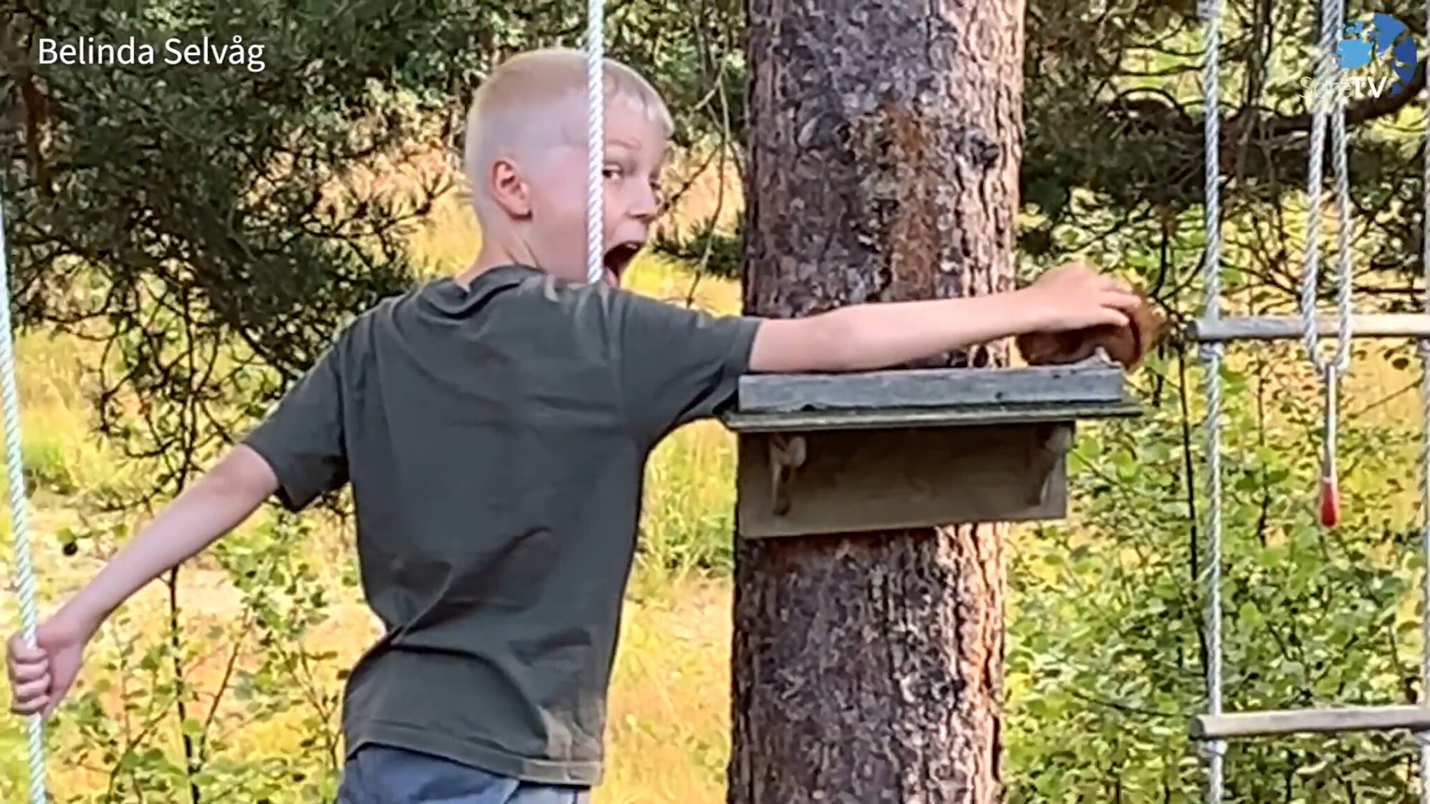 Lesarvideoar i juli og august 2023 - Pulje 3