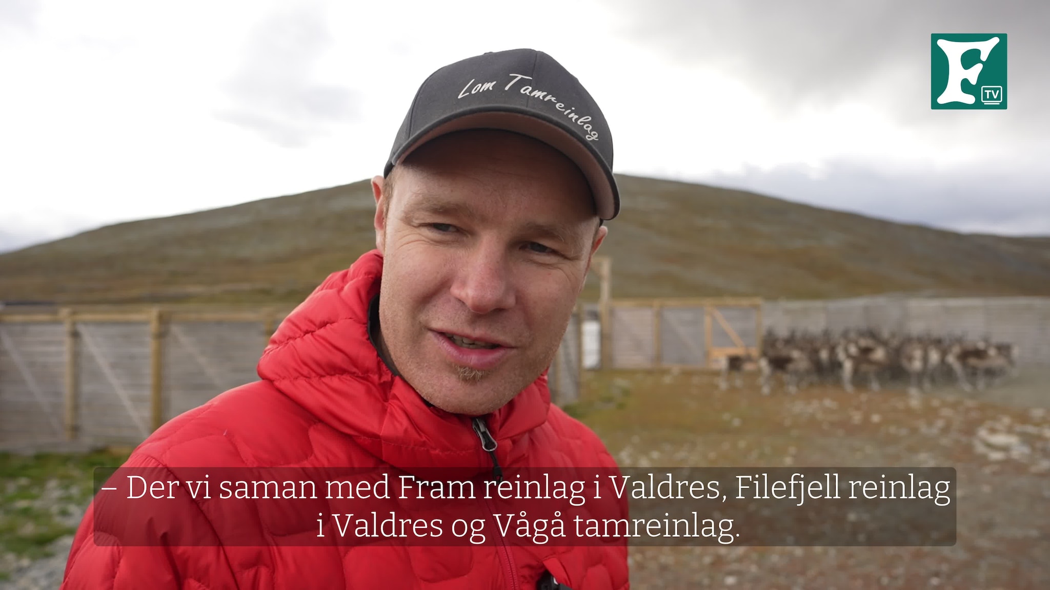 Lom tamreinlag med CWD-Prosjekt