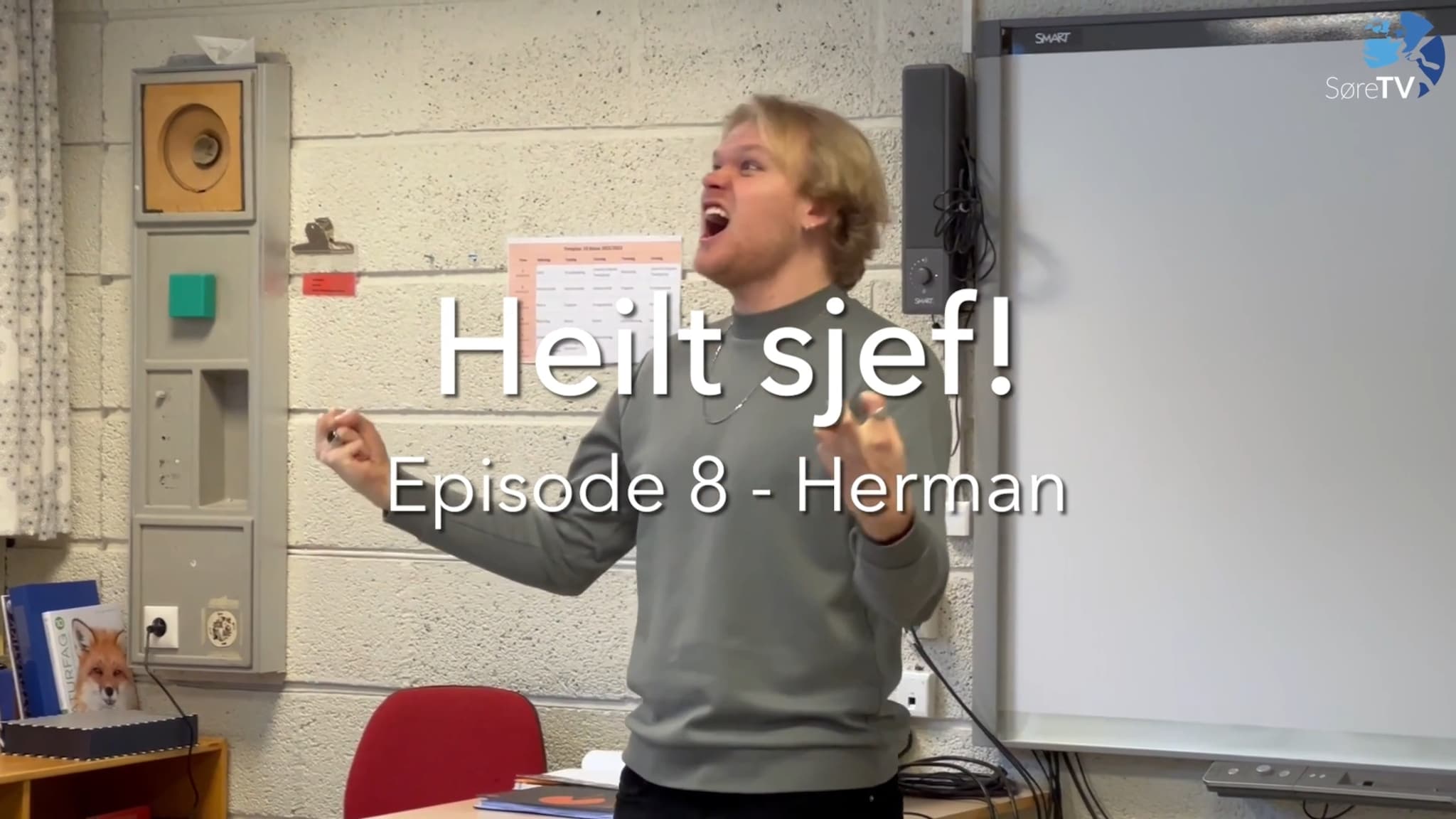Heilt sjef! - Herman