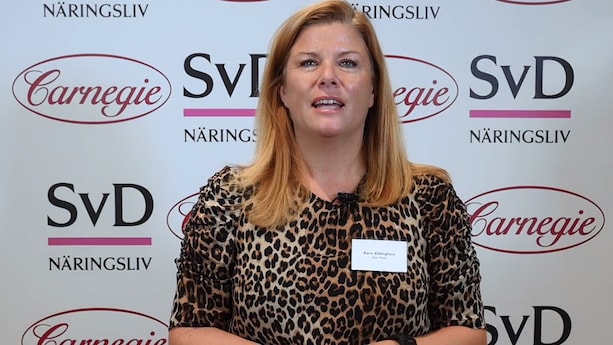 Karin Ebbinghaus, vd (videon)