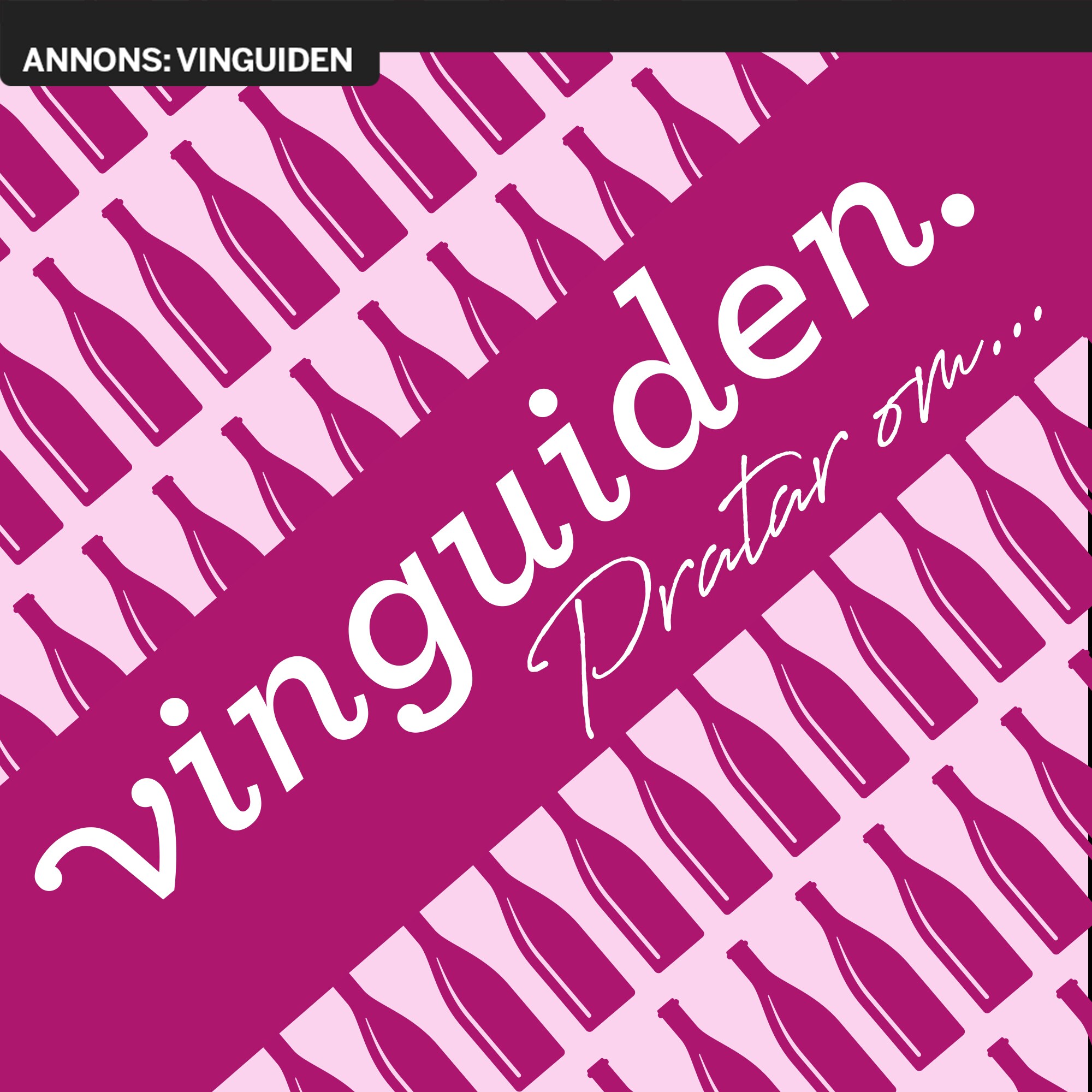 Omslag för Vinguiden