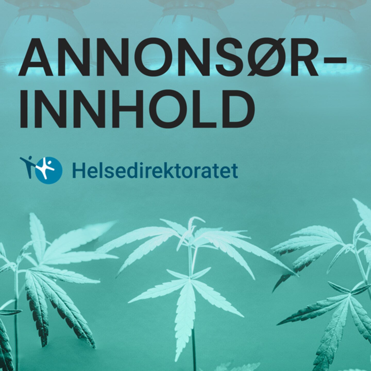 Annonsørinnhold fra Helsedirektortatet. Tenåringer mener cannabis er blitt mindre farlig. Stemmer det?