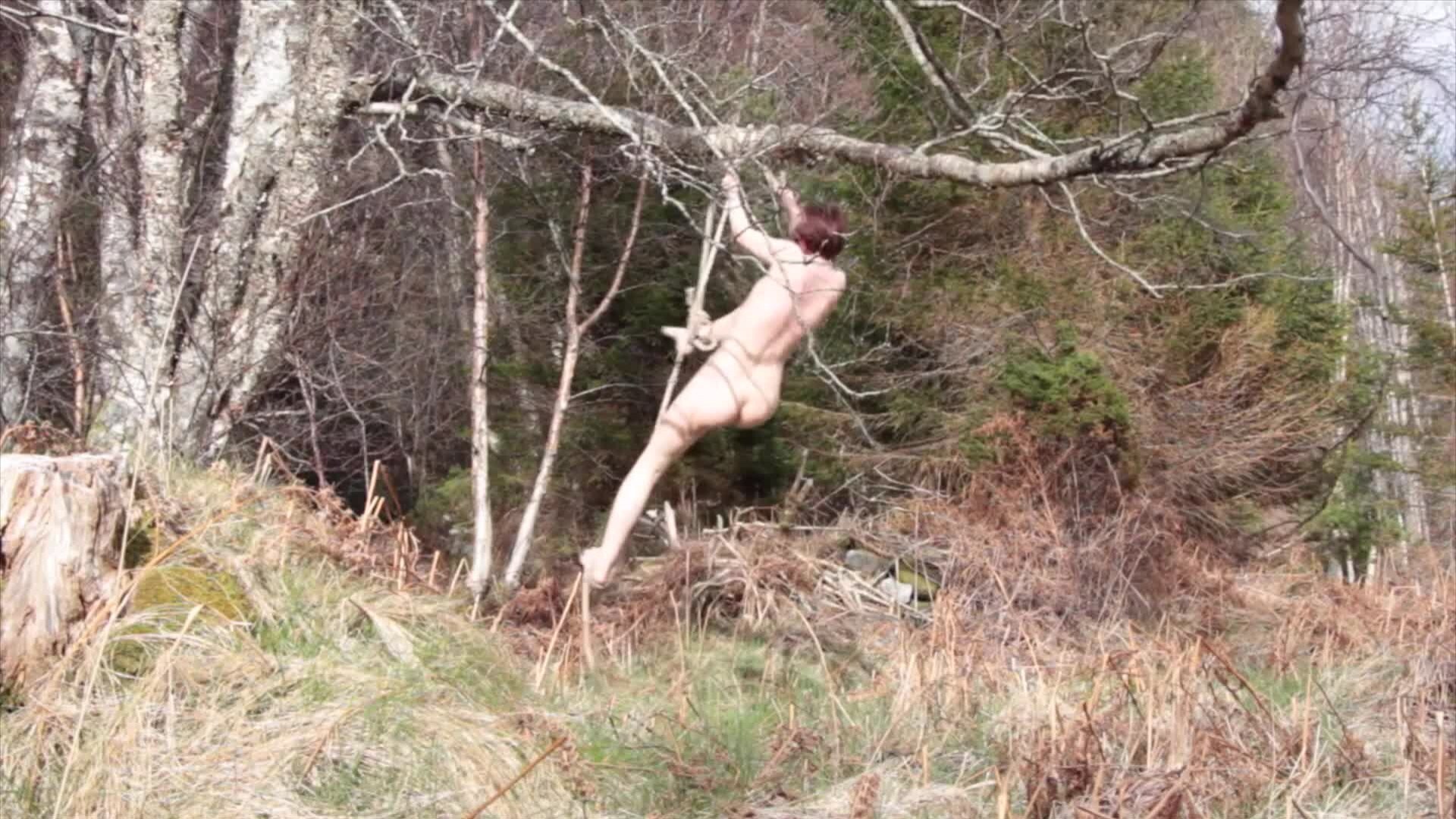 «Hanging in the Woods» av Hilde Krohn Huse - VGTV