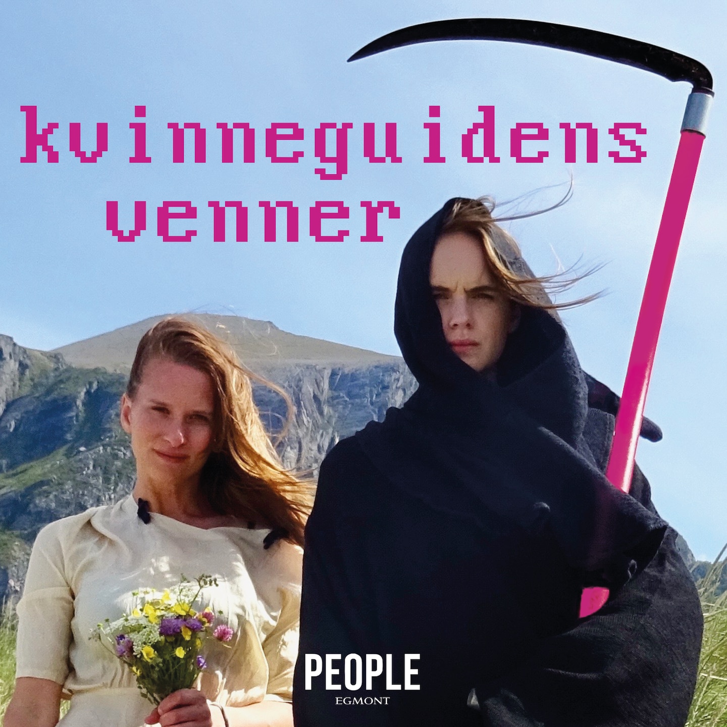 Venner av internett