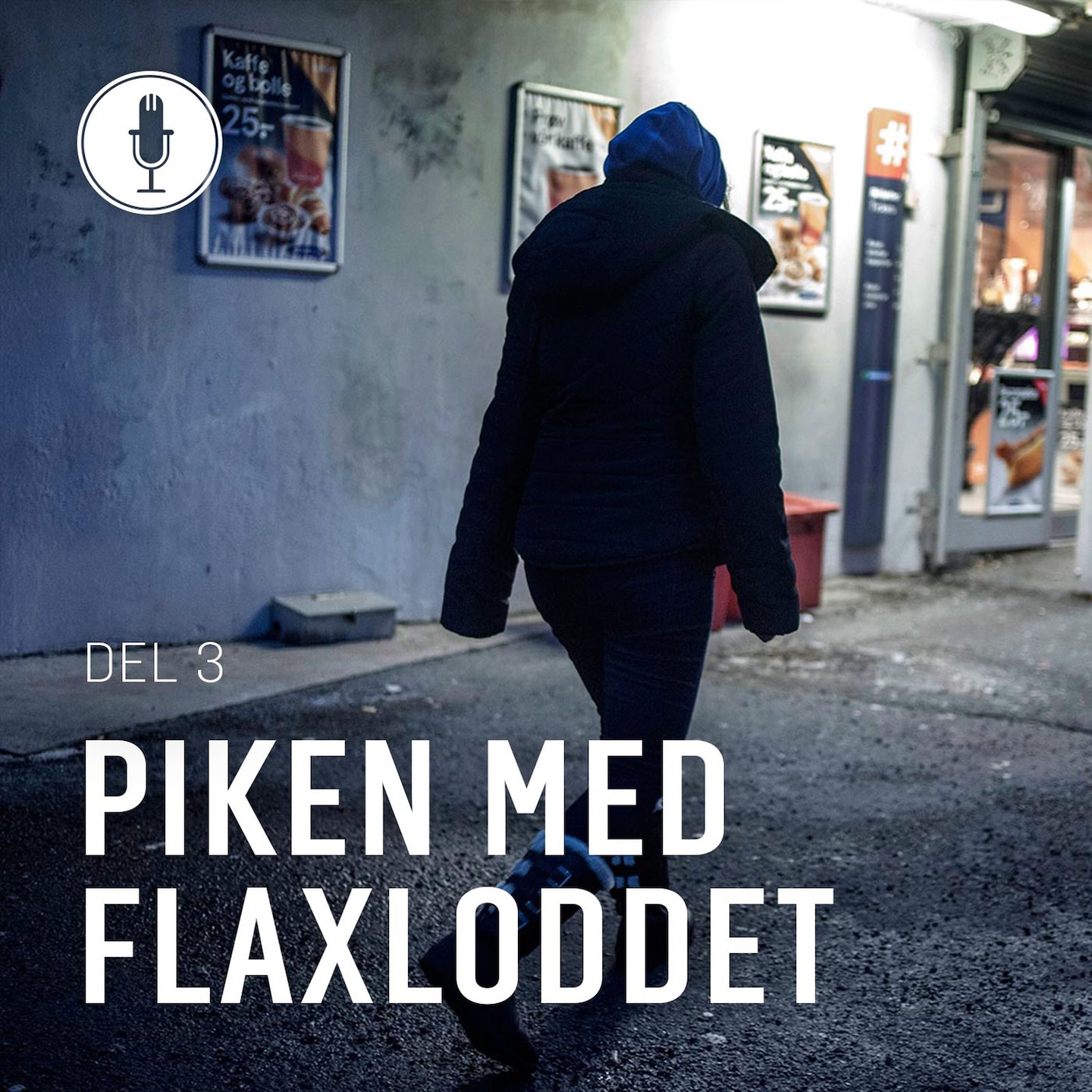 Piken med flaxloddet, del 3