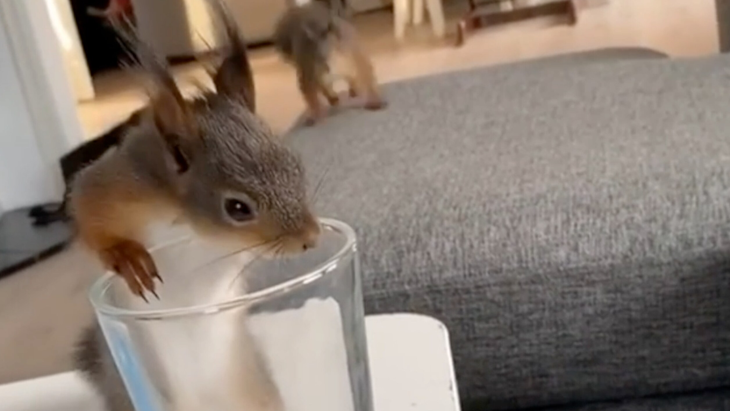 Staysman med skuespillerdebut i «Rådebank» - VG