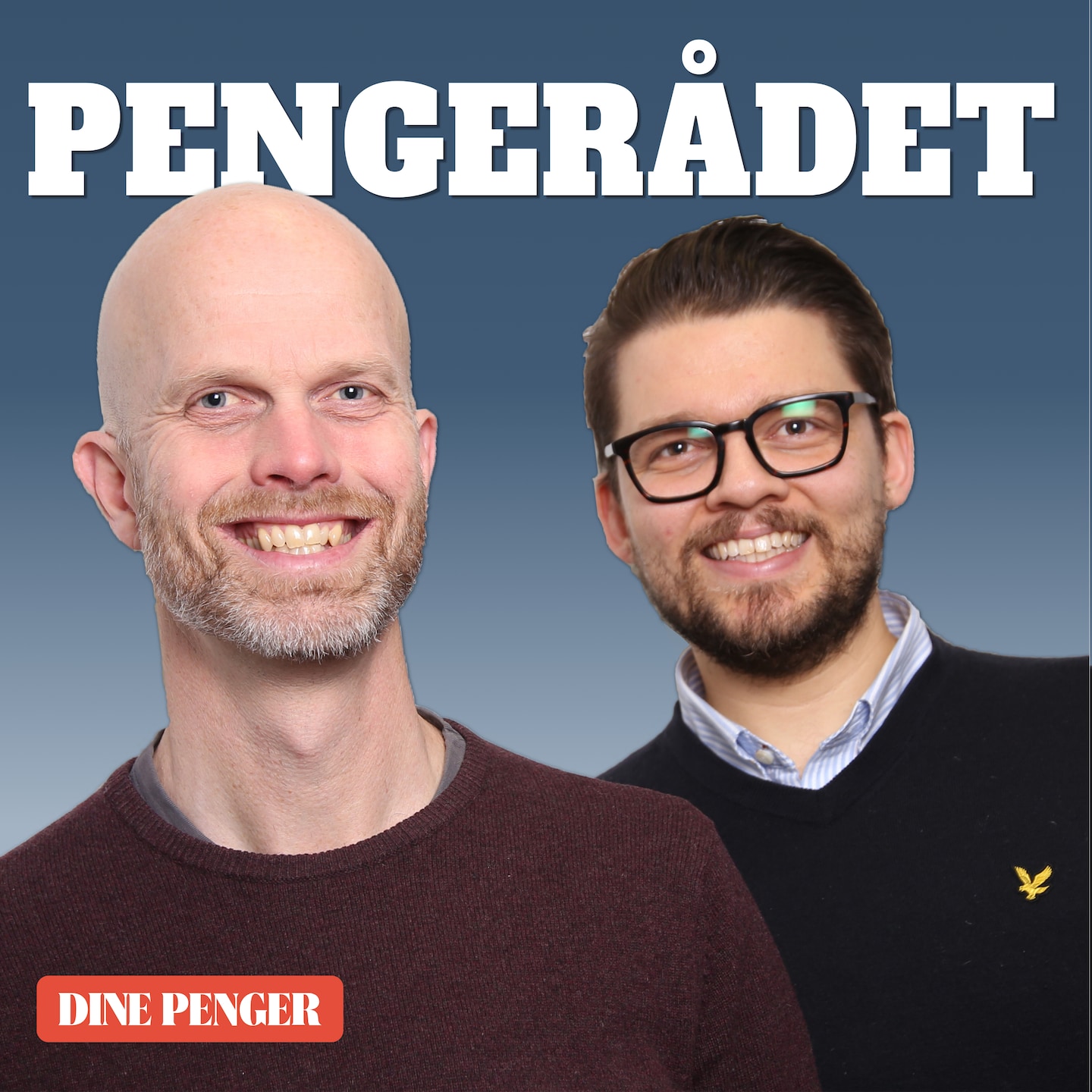Dine Penger - Pengerådet
