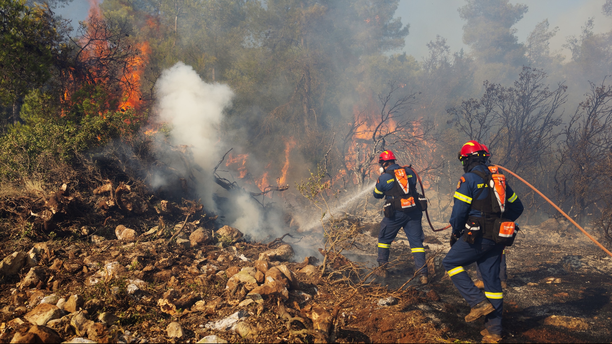 Greece devastated by forest fires: – stressful