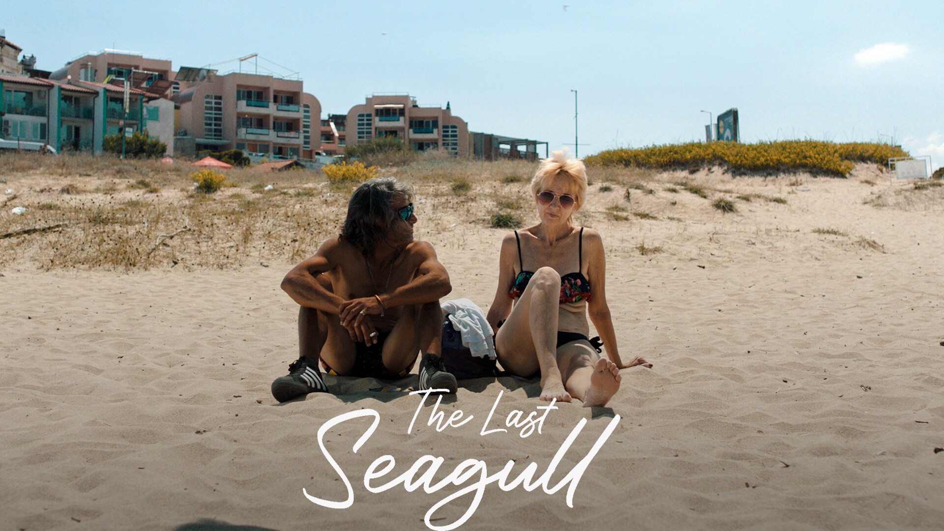 The Last Seagull | VGTV dokumentar
