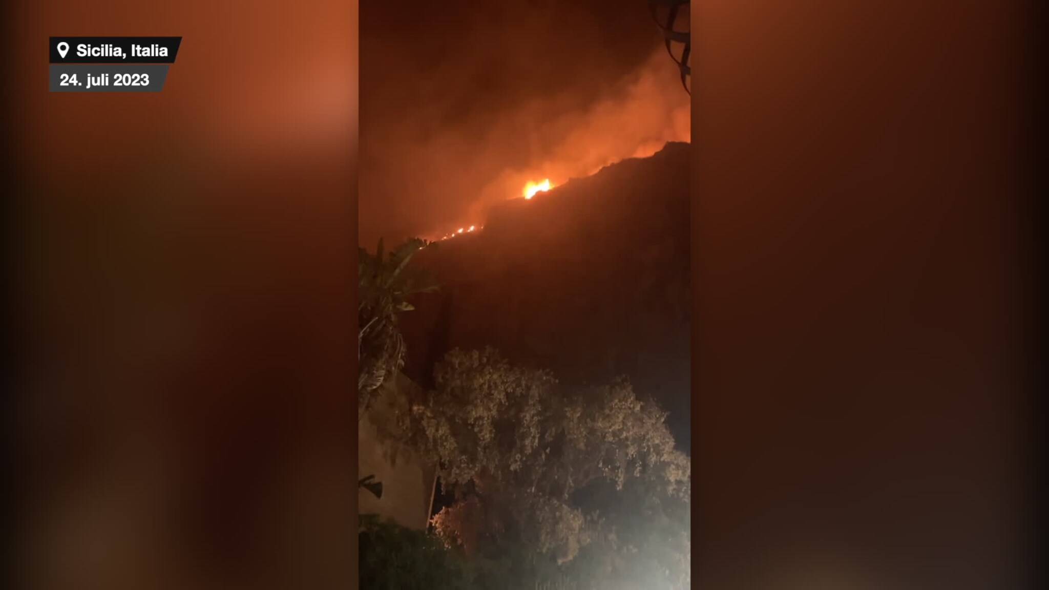 Forest fires in Sicily: – The neighbors said we had to run