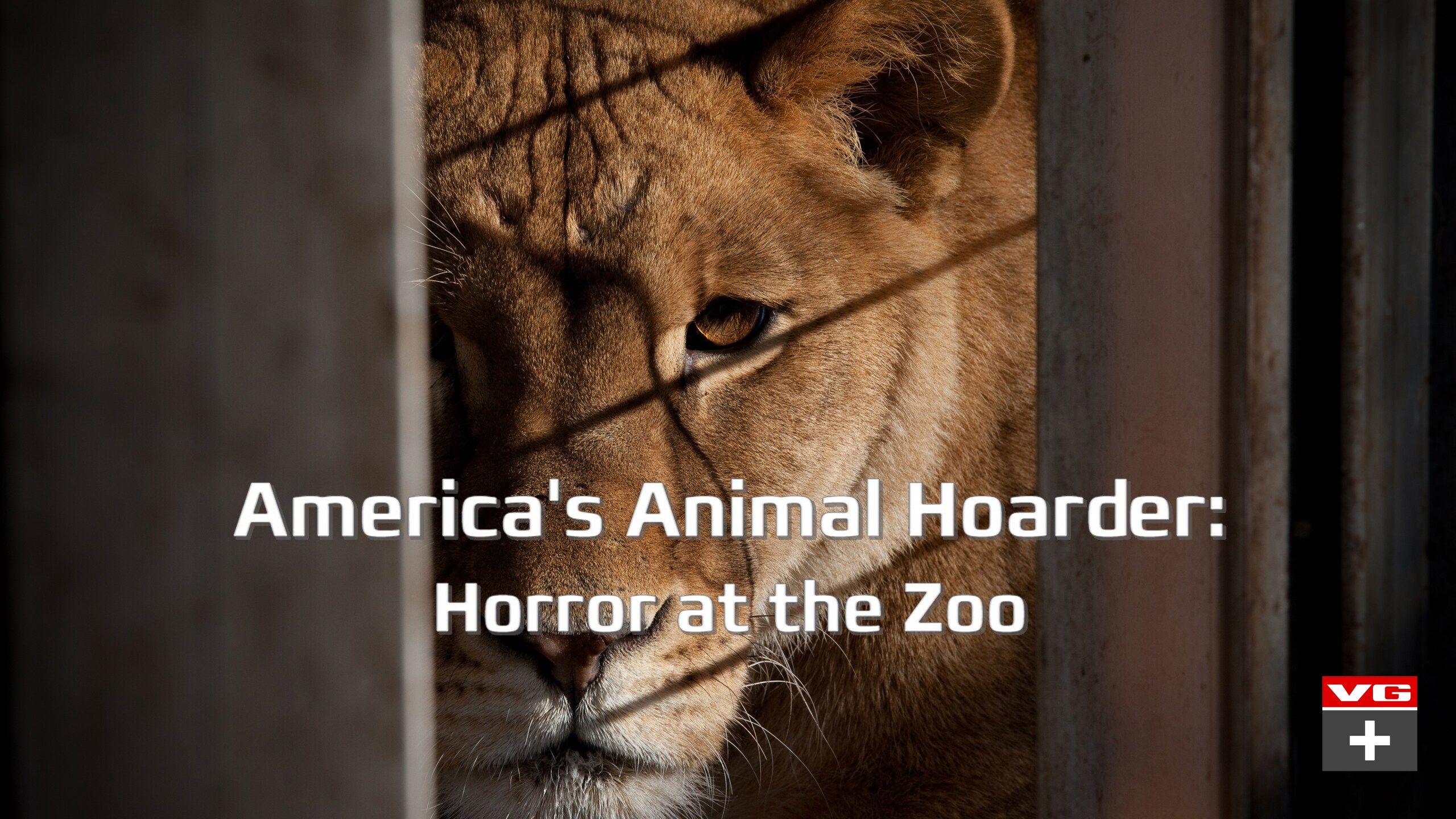 America S Animal Hoarder Horror At The Zoo Vgtv