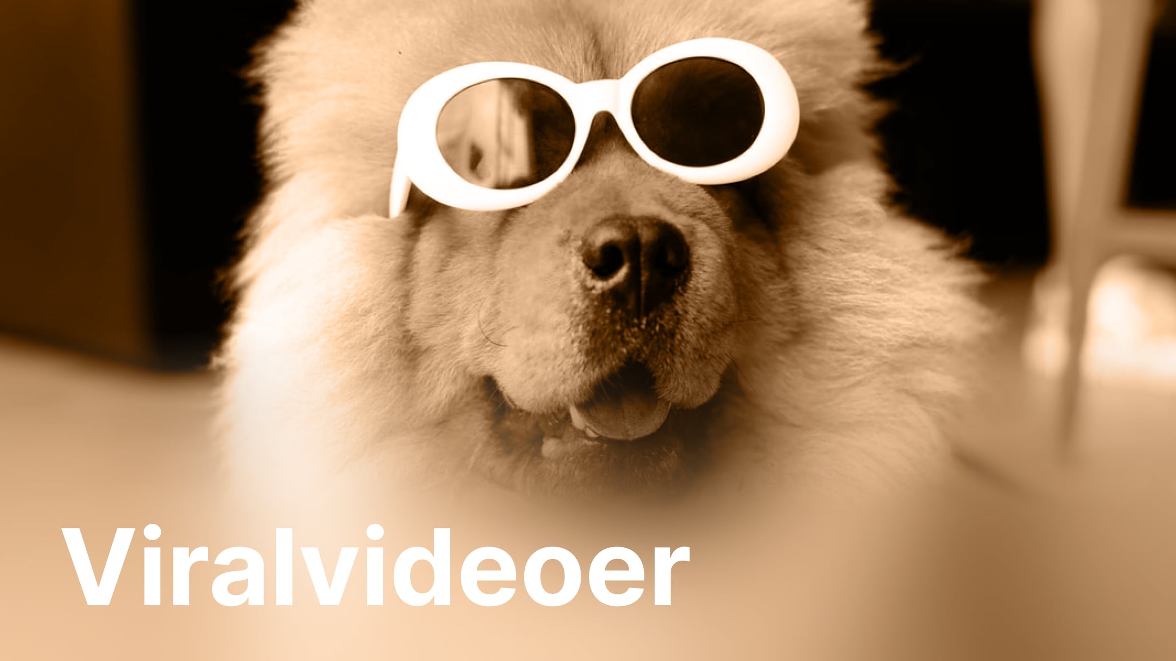 Viralvideoer